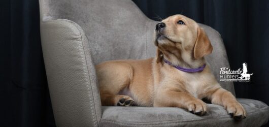 Shooting mit dem D-Wurf