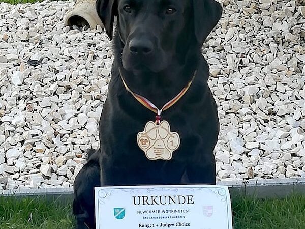 Prüfungen Herbst 2020