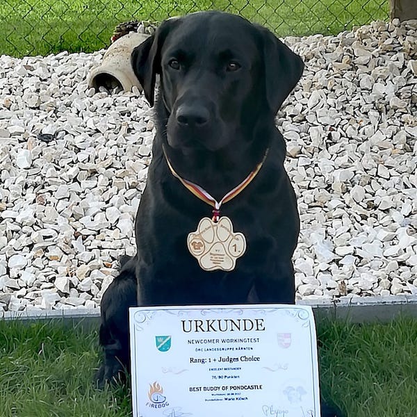 Prüfungen Herbst 2020