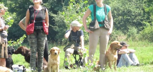 Training in Ungarn, 16. und 17. Juni 2018