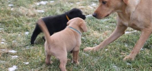 Unser erster Gartenausflug – Auf und davon in die große Welt