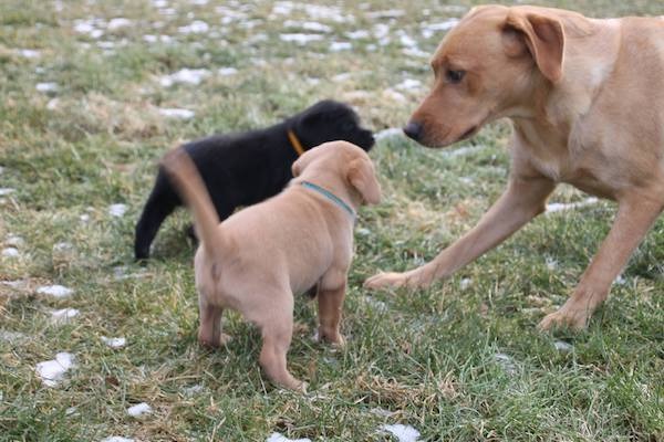 Unser erster Gartenausflug – Auf und davon in die große Welt