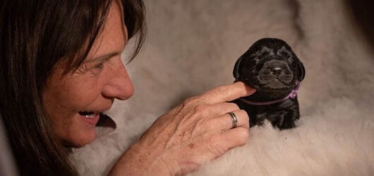 Fotoshooting mit den Hchens