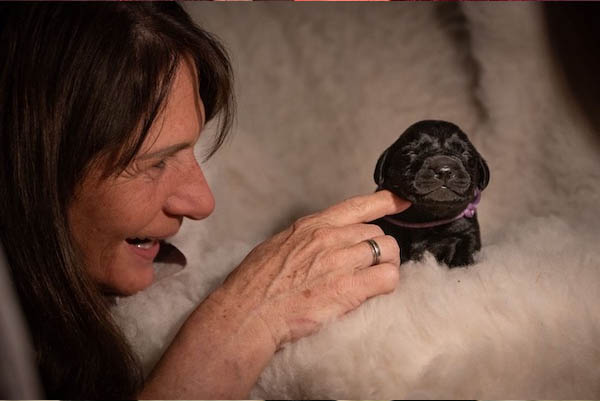 Fotoshooting mit den Hchens