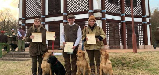 Dummy Trial Grub (02.03.) und Workingtest Sopron (09.-10.03.)