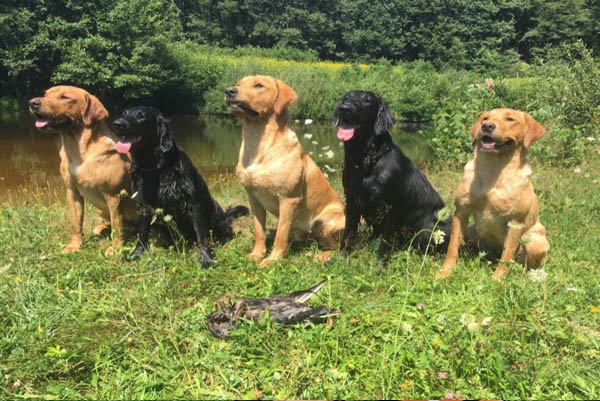 “WILDES” Training mit Freunden