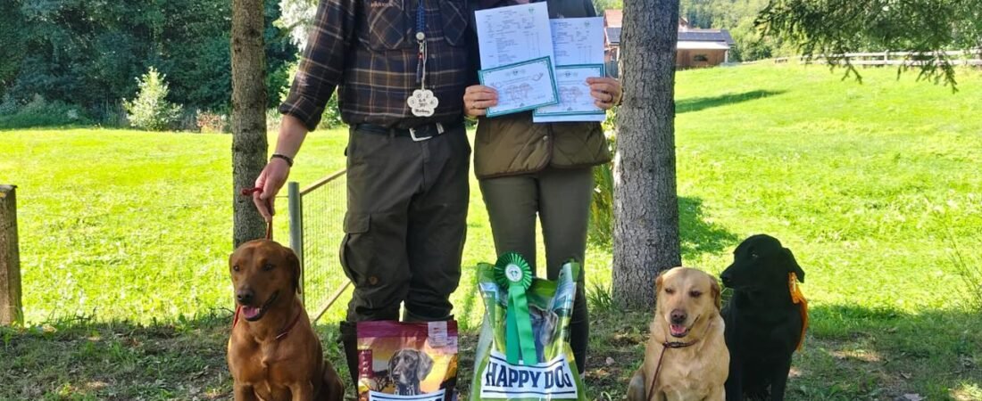 Pondcastle Hunters disservice this title 📯🌿🐾🥳