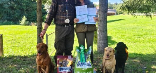 Pondcastle Hunters disservice this title 📯🌿🐾🥳
